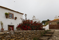 Mata Pequena, Portugal