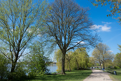 entlang der Aussenalster (© Buelipix)