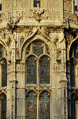 cardiff castle (266)