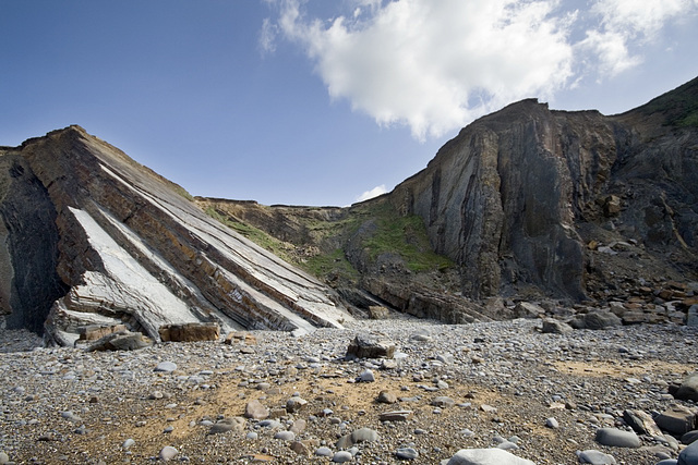 Maer Cliff syncline 2