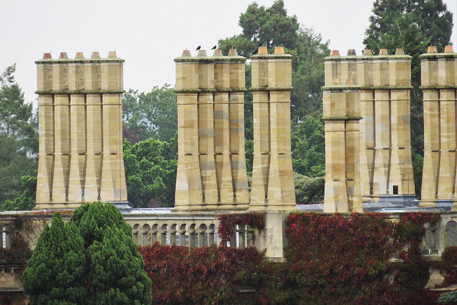 old warden park, beds (3)