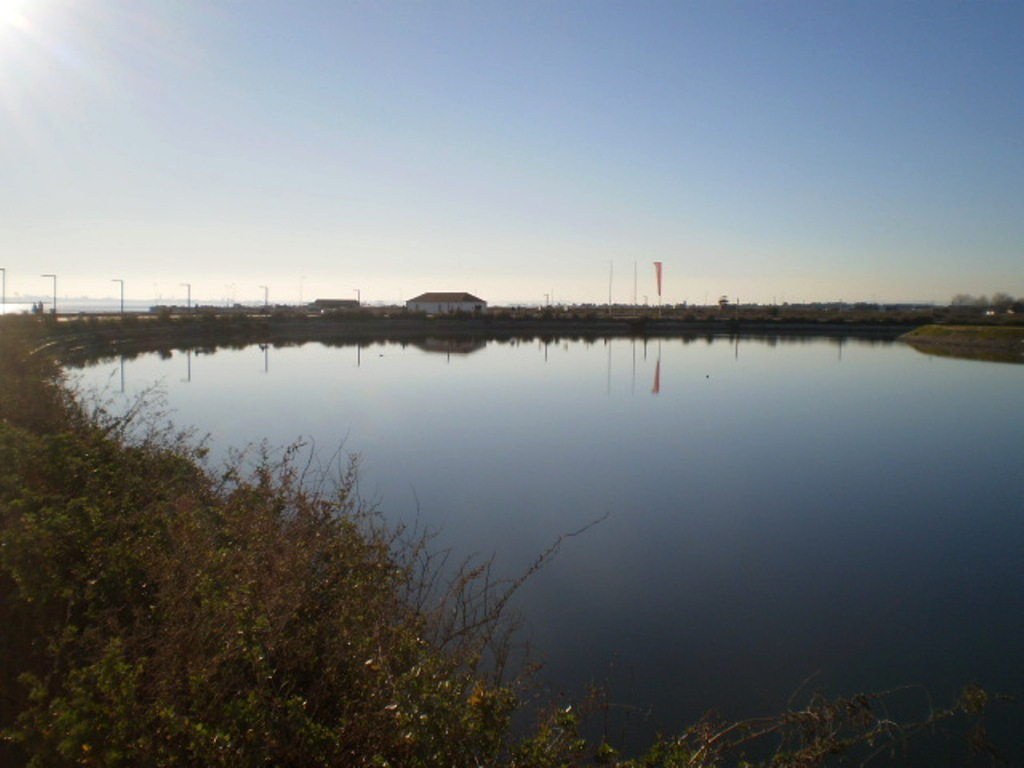 Brackish water pond.