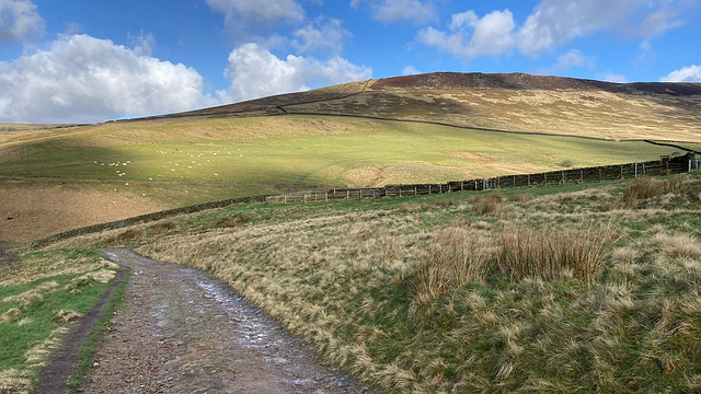 My morning walk ( Doctor’s Gate path, Glossop)