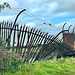 HFF Nigg Cromarty Scotland 11th September 2025