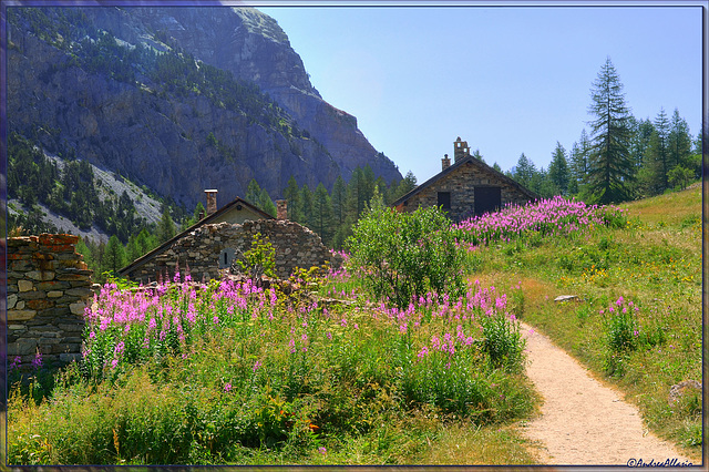 Fioritura a serre d'Aval