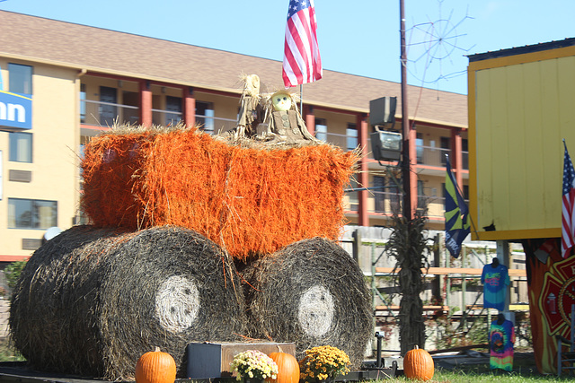 More straw art ~~~~  Pigeon Forge, Tennessee~~~   USA