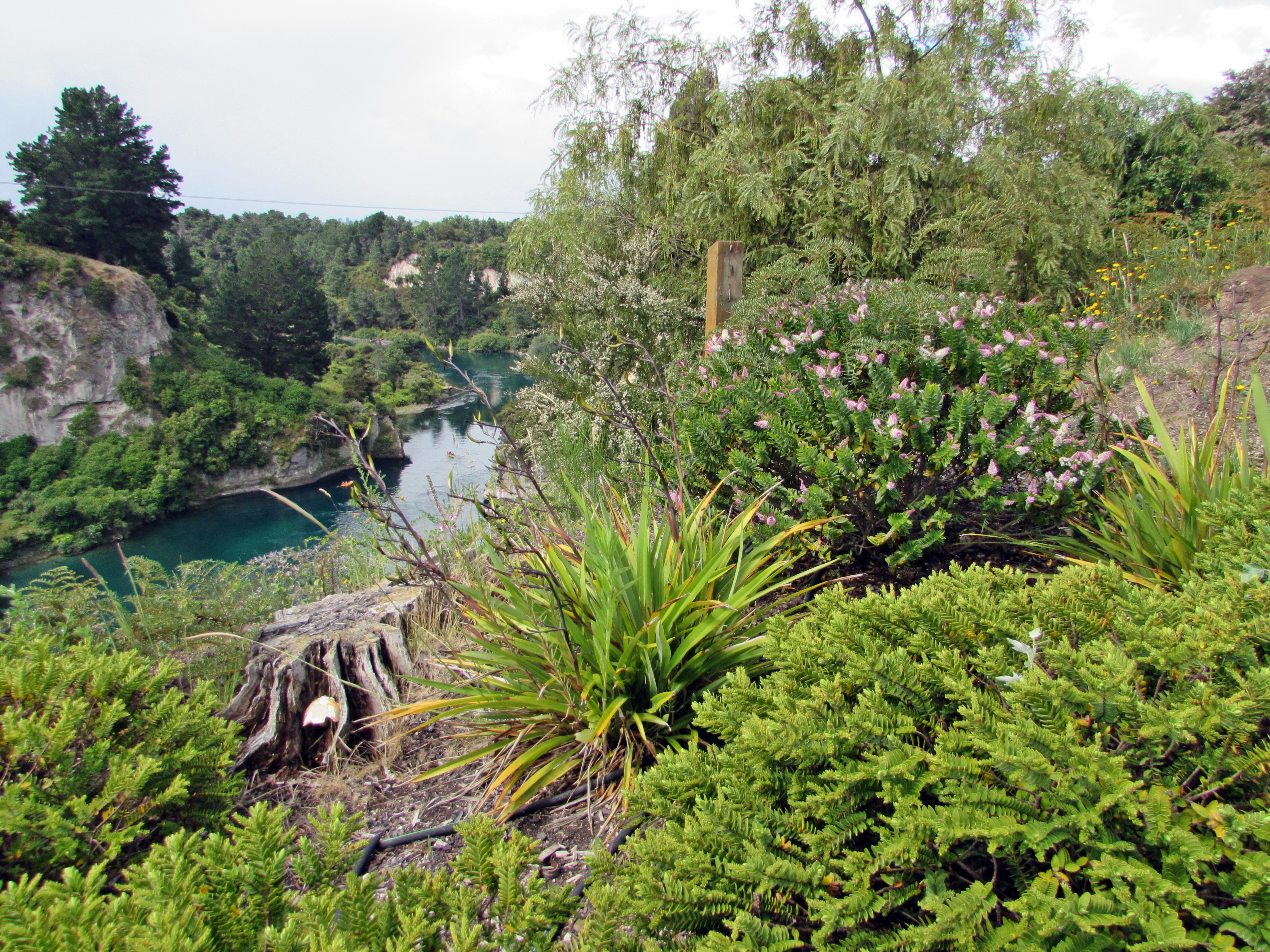 Waikato River.