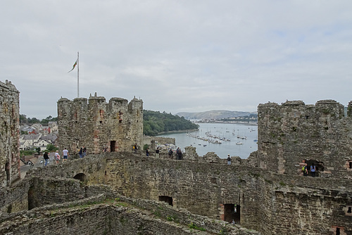 Conwy Castle