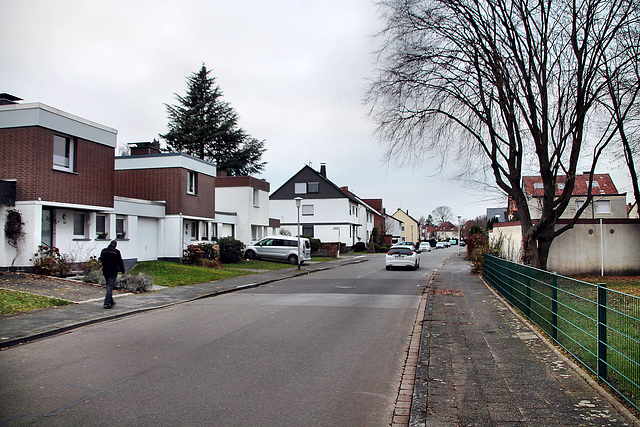 Marderweg (Hamm-Werries) / 16.12.2023