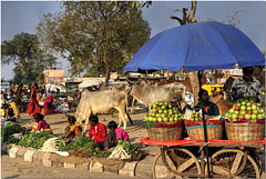 Ahmedabad, India