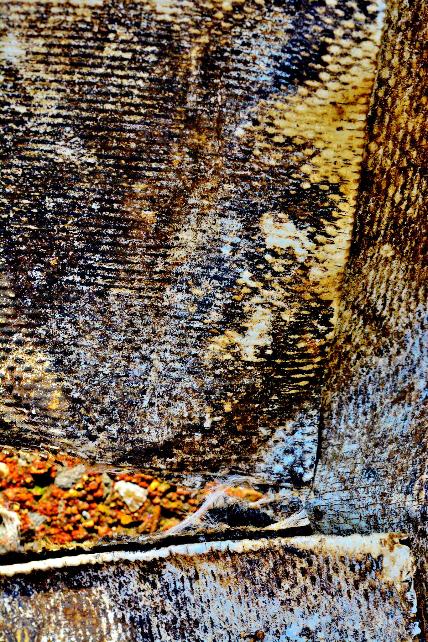 Old Canvas Cloth. Sections