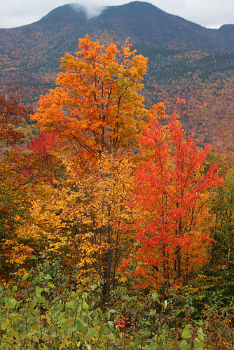 In the mountains