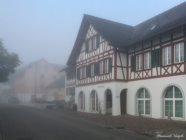 Buchberg im Morgen Nebel