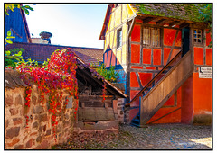 ECO Museé  Elsass