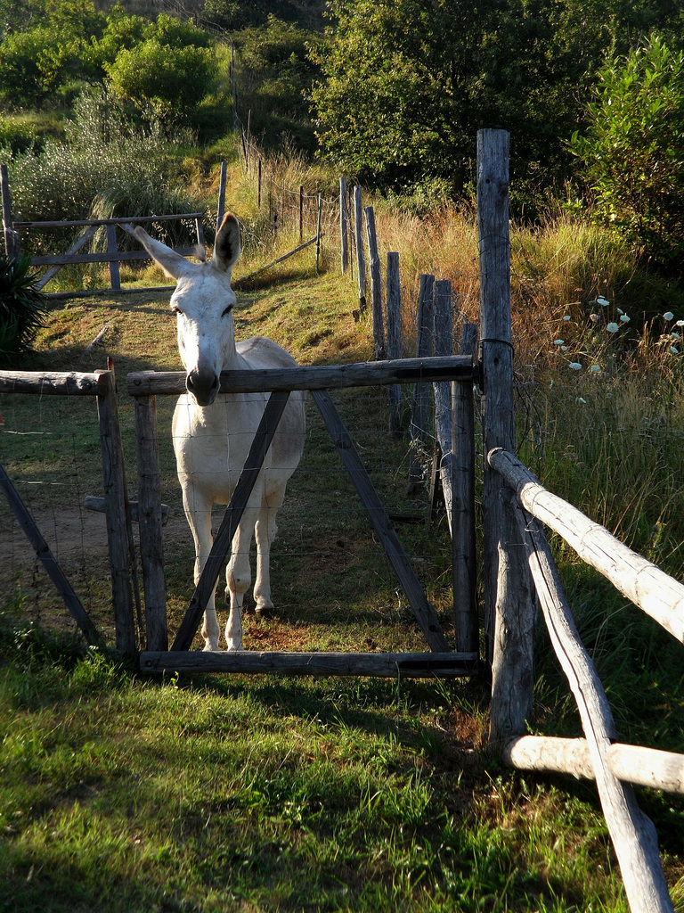 freccia a sinistra - HFF everyone !