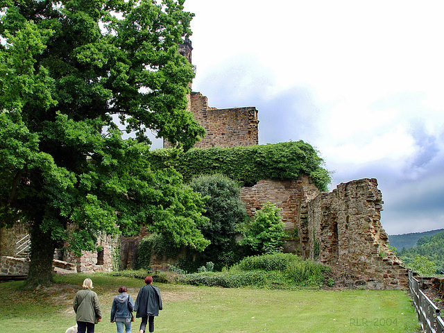 Burgruine Hardenberg ... HFF!