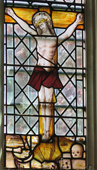 iwade church, kent, c16 glass  (5)