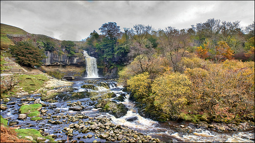 Thornton Force