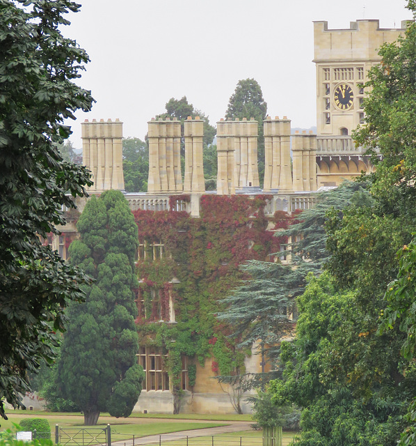 old warden park, beds (1)