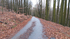 Winterbergstraße