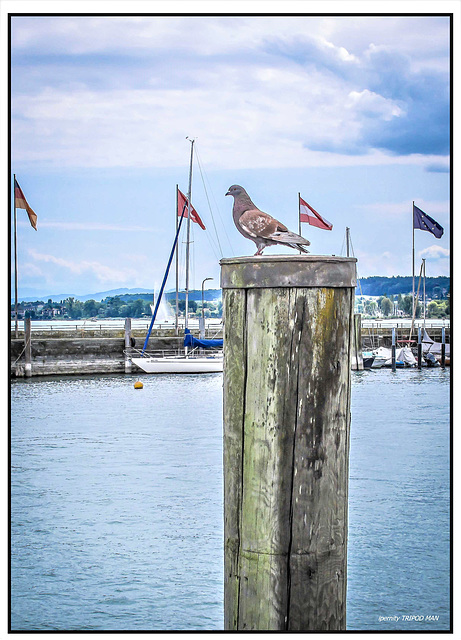 Sommer 22 Konstanz