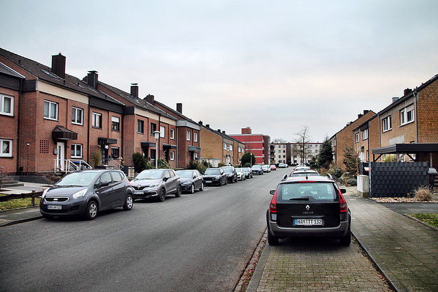 Zobelweg (Hamm-Werries) / 16.12.2023