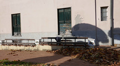 Autumnal bench