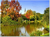 Flamboiement de couleurs au bord du lac