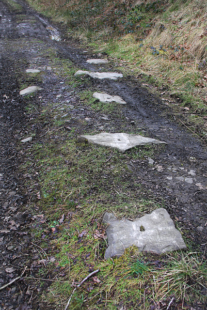 Tramway sleepers