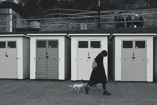 Lyme Regis XPro2 Seafront 17 mono