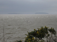 Islands in the storm