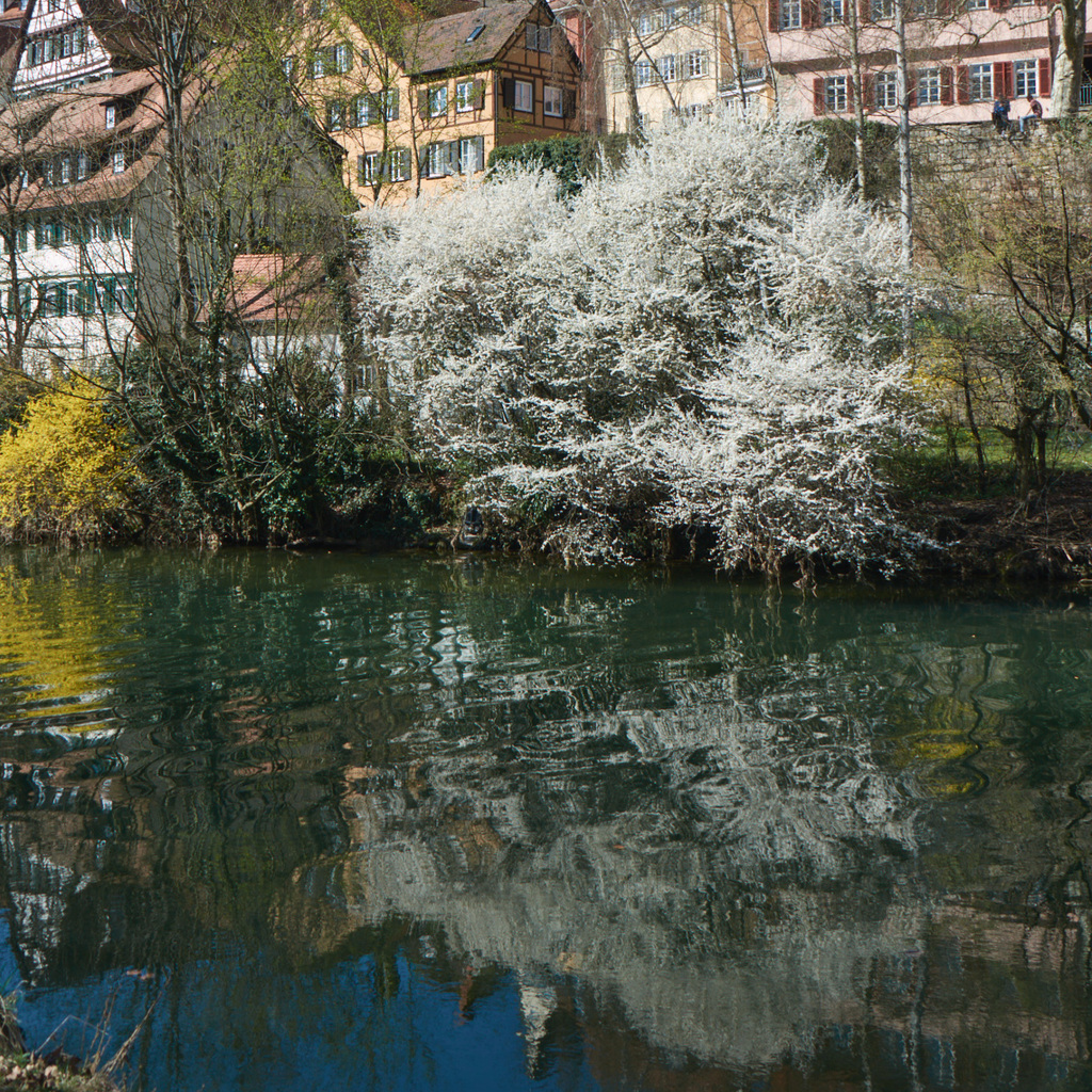 Tübingen Neckar - Reflexionen