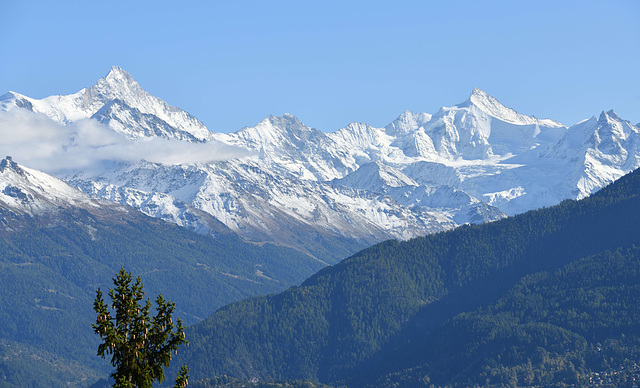 Les Alpes valaisannes enneigées avec le Weisshorn et le Zinalrothorn ...