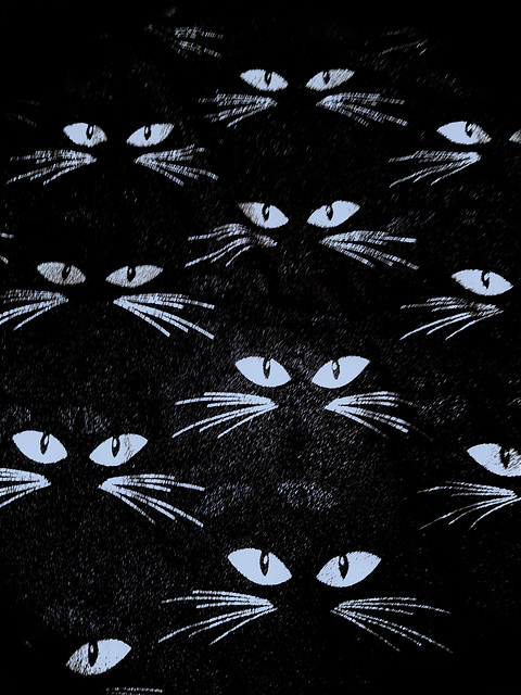 black magic cats (2)