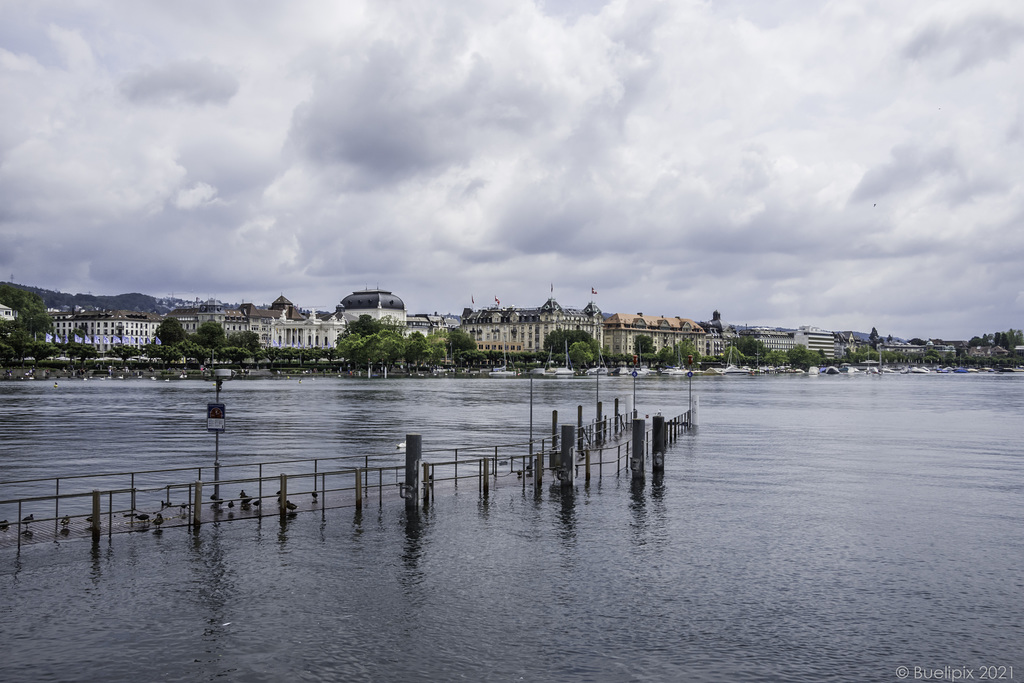 am Zürichsee, als er etwas viel Wasser hatte ... (© Buelipix)