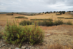 S. Bartolomeu da Via Gloria, Baixo Alentejo