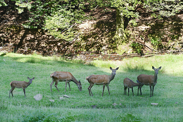 ... und seine Familie