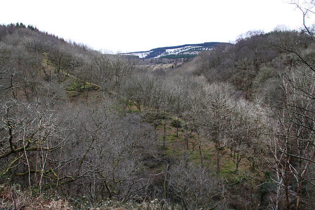 Rhigos Mountain