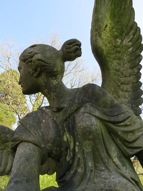 great northern cemetery, southgate, london