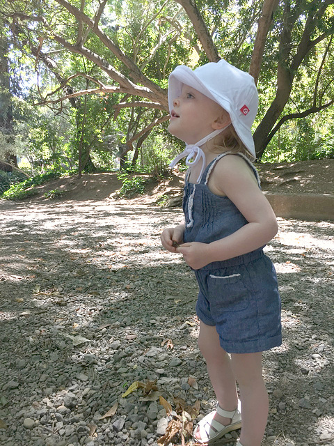 Sweetie in a Sunhat