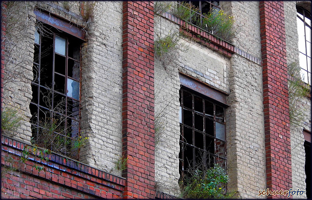 Natürlicher Fensterschmuck braucht Zeit