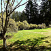 Azalea Park, Brookings, Oregon