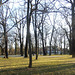 Winterlingswiese im Großen Garten Dresden 01