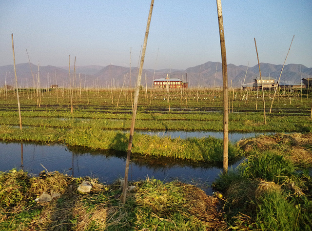 boat trip on Lake Inle