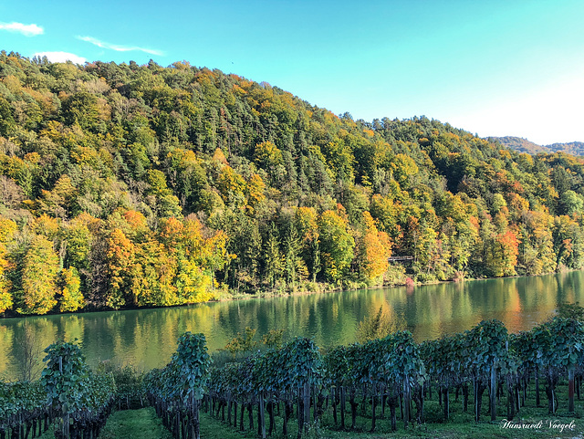 Am Rhein bei Rüdlingen Kanton Schaffhausen