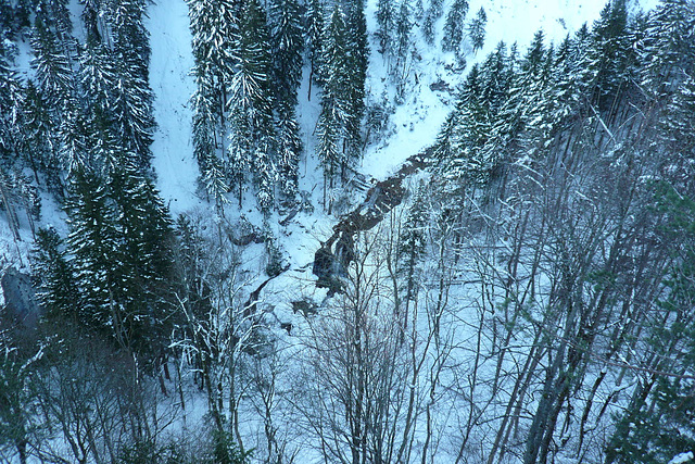 View From Schloss Neuschwanstein