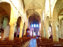 Abbatiale Notre-Dame de Beaugency (2)