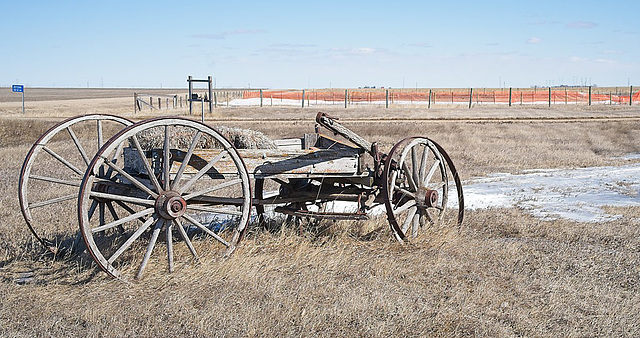 wagon in  afternoon light