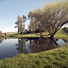 Calm Water