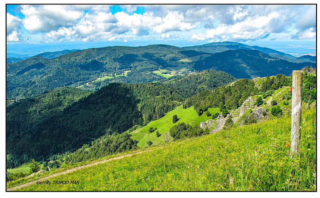 Schwarzwald